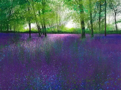 Indulge Your Senses, it's Bluebell Season at The Rose Gallery