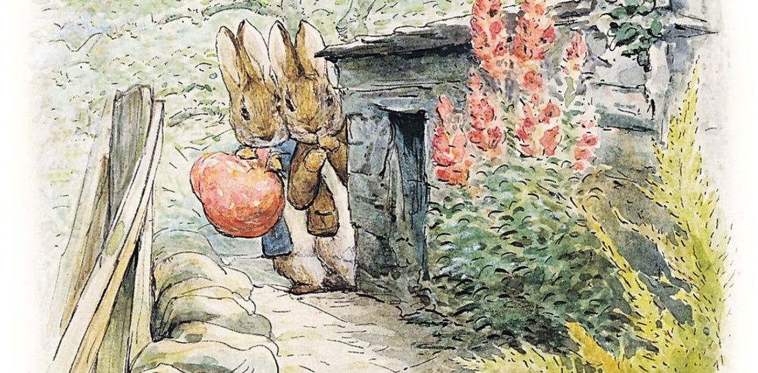 Artwork from Beatrix Potter