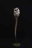 Adam Binder Scops Owl Sculpture