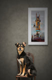 Gary Walton artwork dog house
