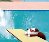 Doug Hyde Making a Splash