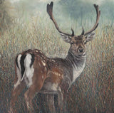 Julia Whitehead Fallow Deer