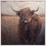 Julia Whitehead Highland Cow Original Framed