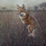 Julia Whitehead Red Fox