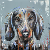 Samantha Ellis Dachshund Dog portrait