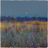 Paul Evans Meadow and Moon